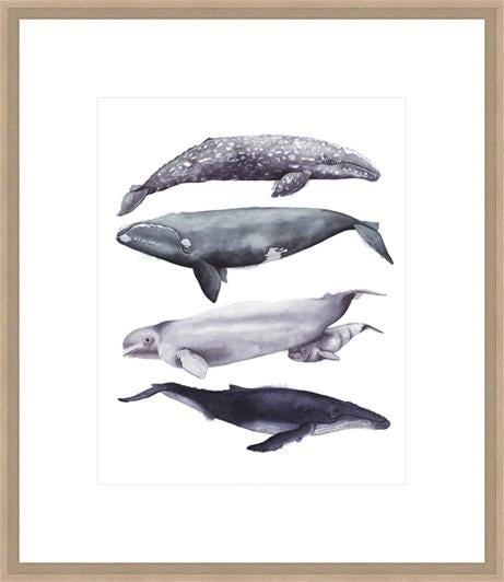 Whale Stack I - In Stock