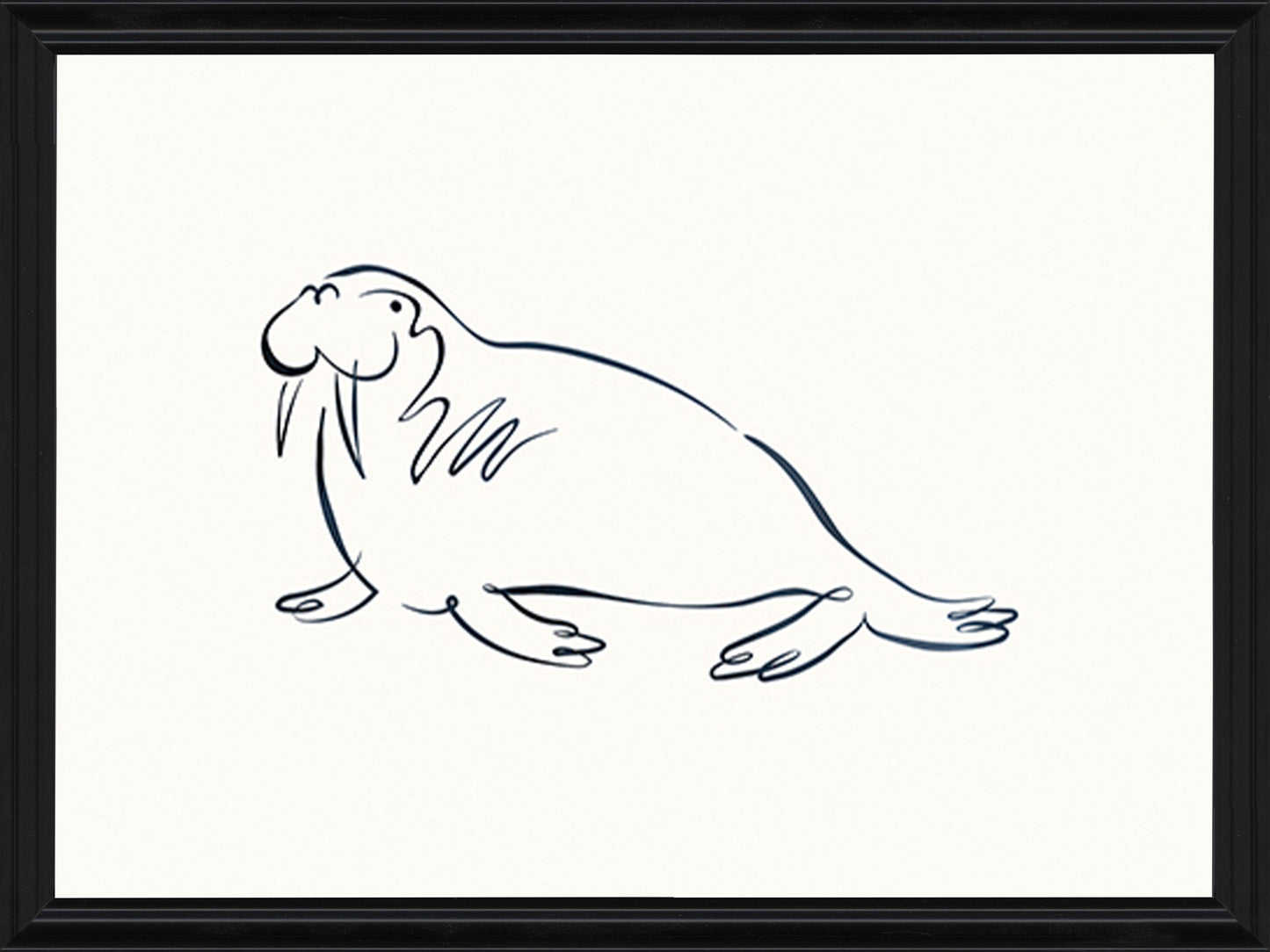 Linear Sketch - Walrus