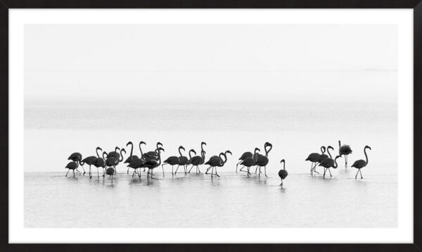 Flamingos - 10cm Mount Board