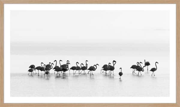 Flamingos - 10cm Mount Board - Image 3