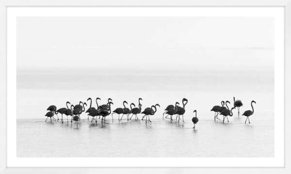 Flamingos - 10cm Mount Board - Image 2