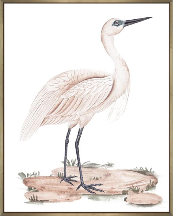 A White Heron II - Canvas