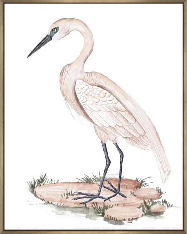 A White Heron I - Canvas