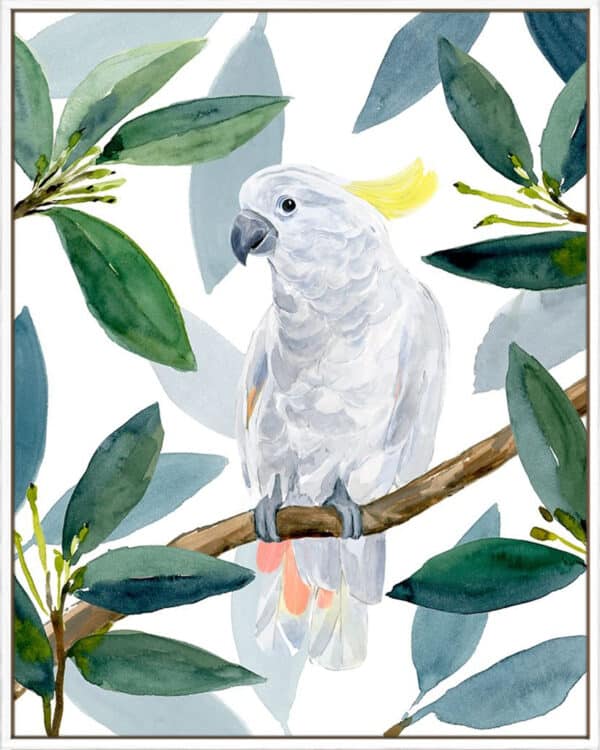 Cockatoo Perch II - Canvas