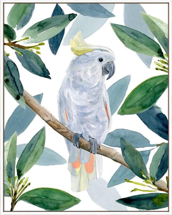 Cockatoo Perch I - Canvas