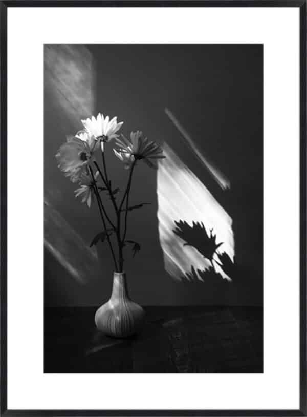 Floral Shadow - 10cm Mount Board