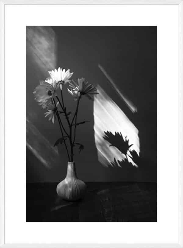 Floral Shadow - 10cm Mount Board - Image 3