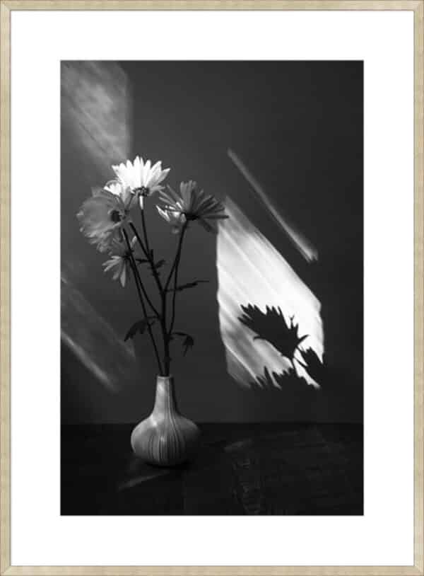 Floral Shadow - 10cm Mount Board - Image 2