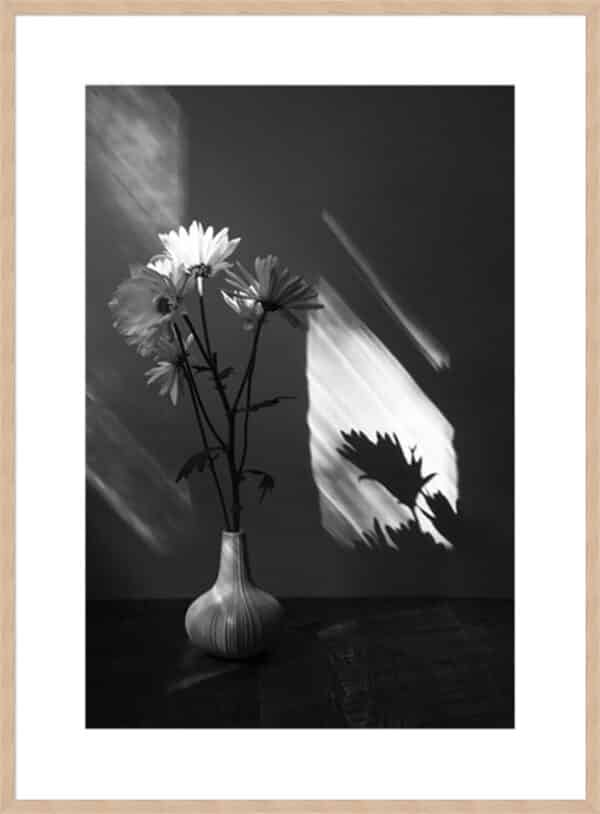 Floral Shadow - 10cm Mount Board - Image 4