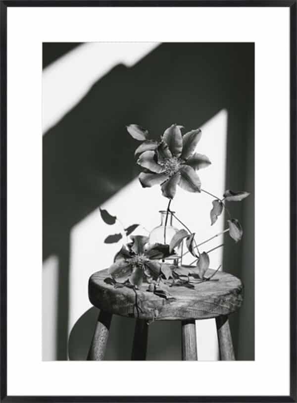 Minimal Noir - Flower - 10cm Mount Board