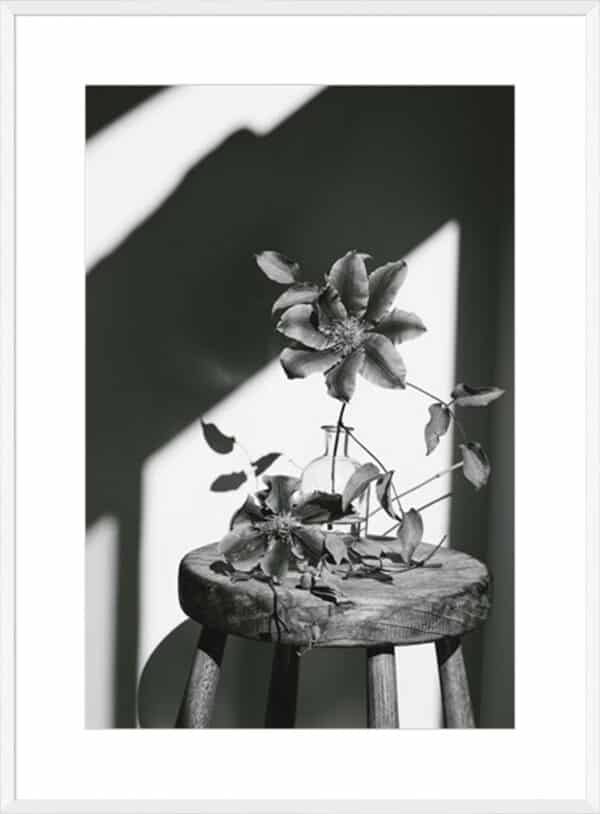 Minimal Noir - Flower - 10cm Mount Board - Image 4