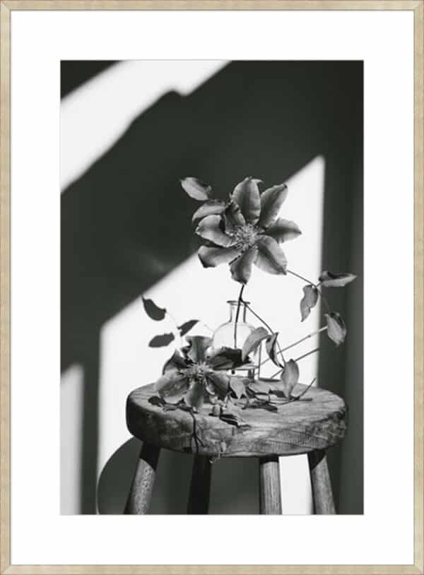 Minimal Noir - Flower - 10cm Mount Board - Image 2