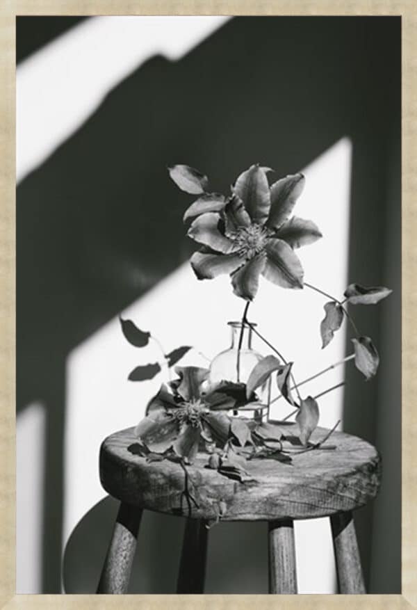 Minimal Noir - Flower - Framed to Edge - Image 4