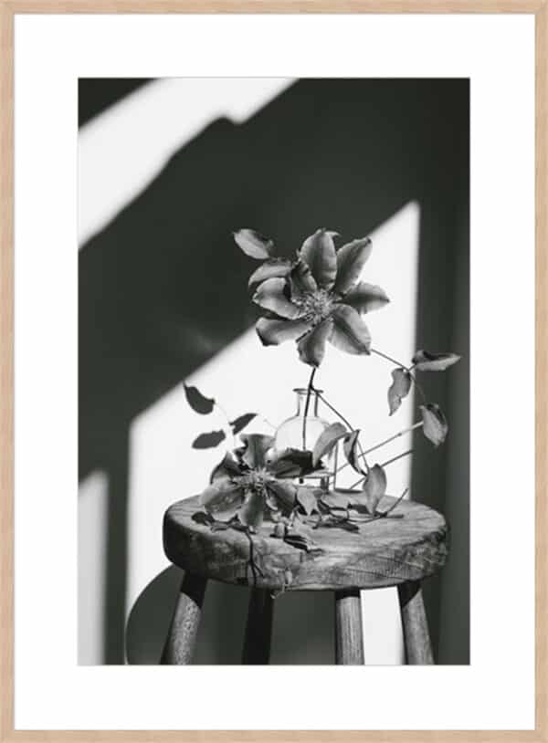 Minimal Noir - Flower - 10cm Mount Board - Image 3