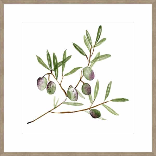 Olive Branch II - 10cm Mount Board