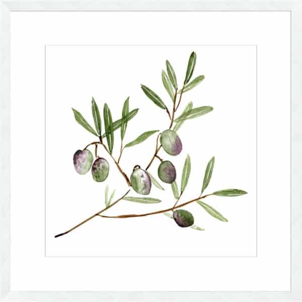 Olive Branch II - 10cm Mount Board - Image 2