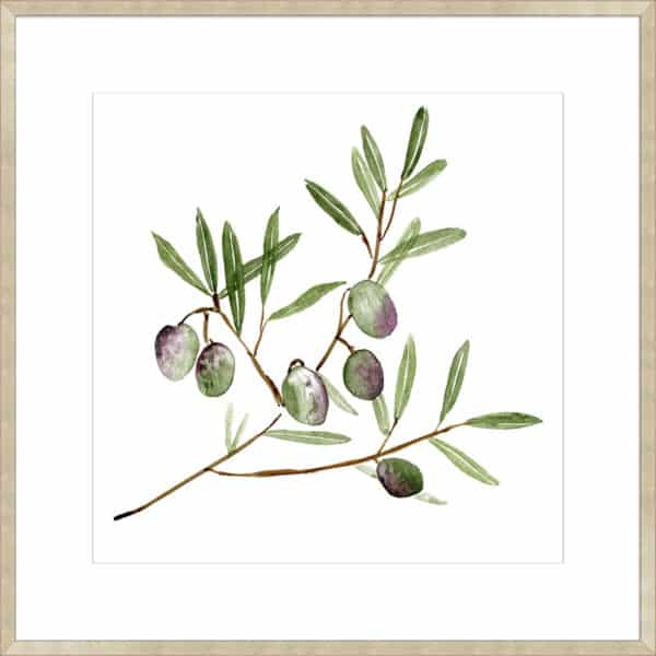 Olive Branch II - 10cm Mount Board - Image 5