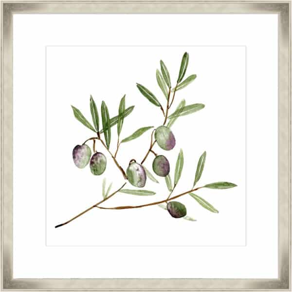 Olive Branch II - 10cm Mount Board - Image 6