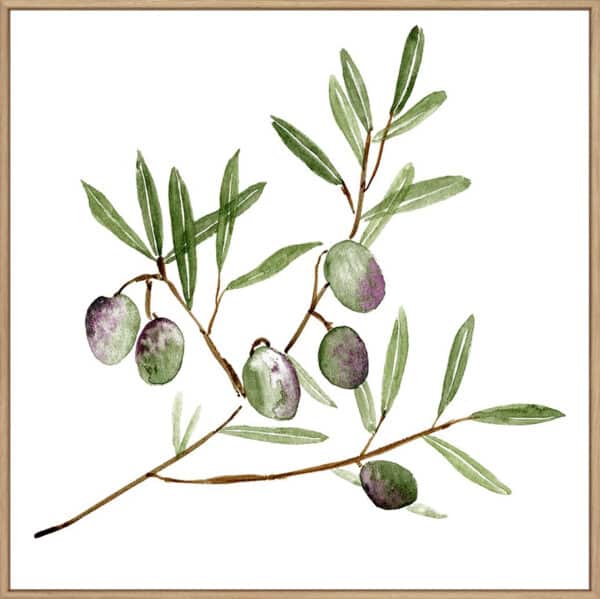 Olive Branch II - Canvas