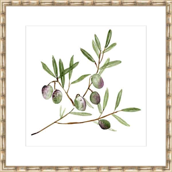 Olive Branch II - 10cm Mount Board - Image 3