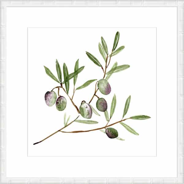 Olive Branch II - 10cm Mount Board - Image 4