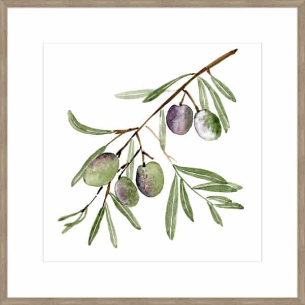 Olive Branch I - 10cm Mount Board