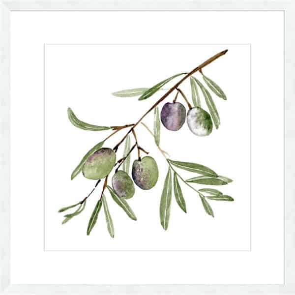 Olive Branch I - 10cm Mount Board - Image 3