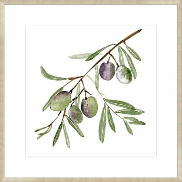 Olive Branch I - 10cm Mount Board - Image 6