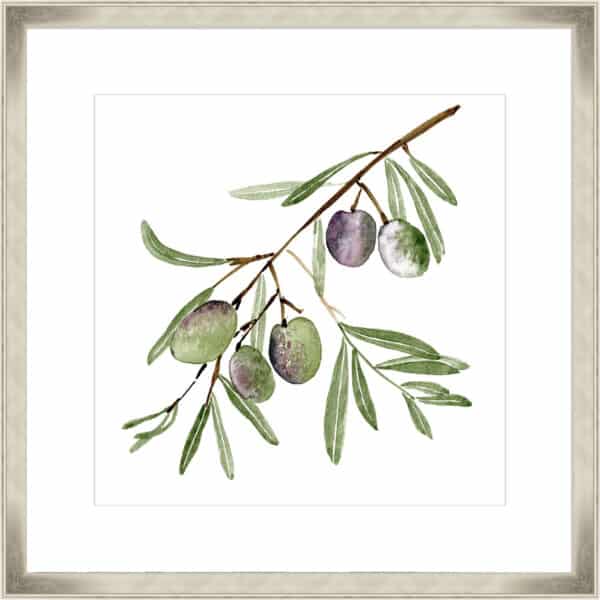 Olive Branch I - 10cm Mount Board - Image 2