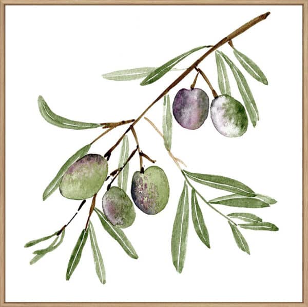 Olive Branch I - Canvas