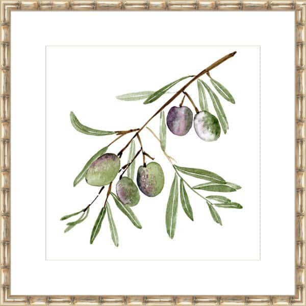 Olive Branch I - 10cm Mount Board - Image 5