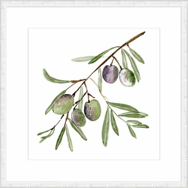 Olive Branch I - 10cm Mount Board - Image 4