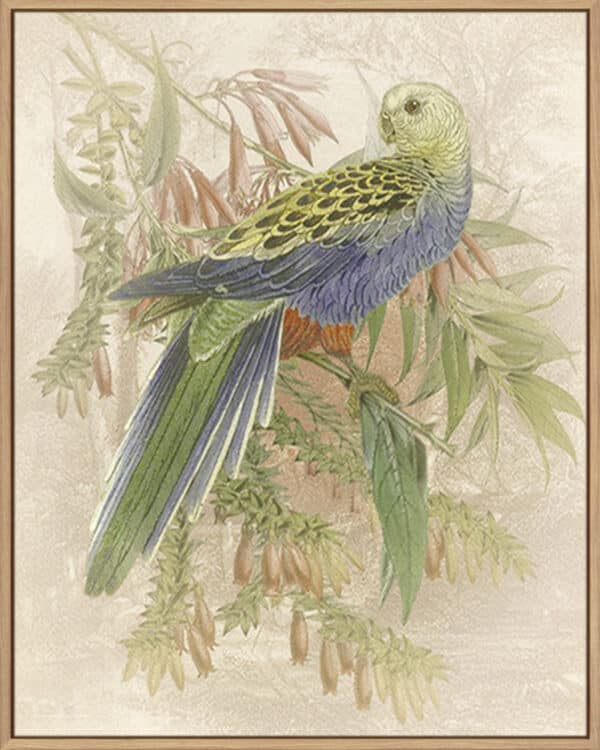 Parrot Price - Canvas - Image 3