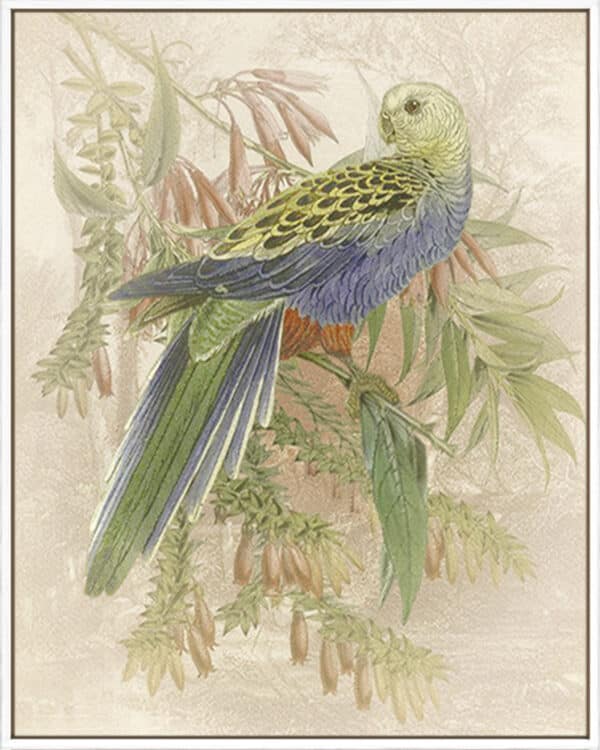 Parrot Price - Canvas - Image 2