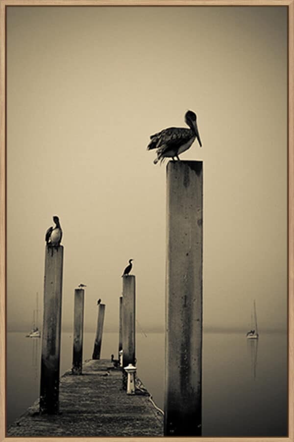 Perched - Canvas - Image 2