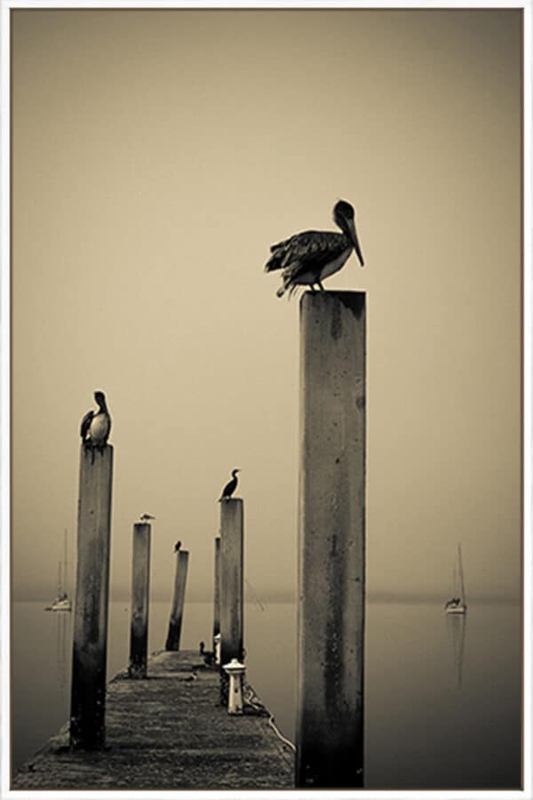 Perched - Canvas - Image 3