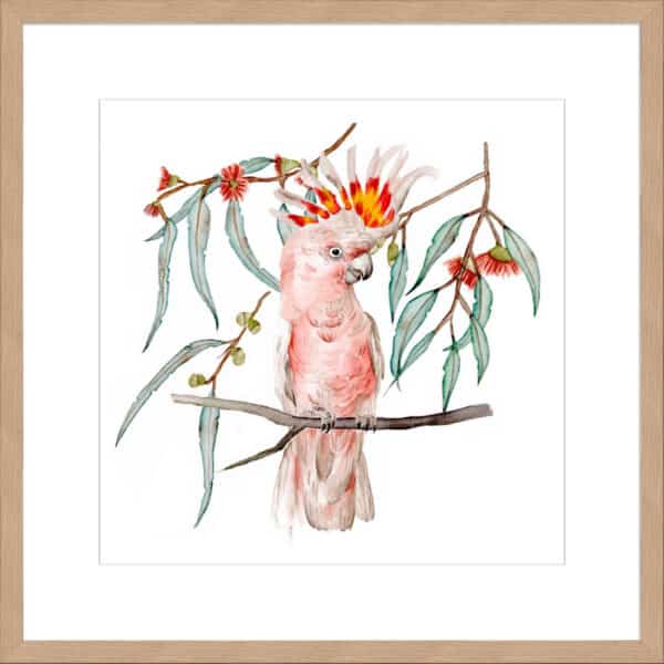 Pink Cockatoo II - 10cm Mount Board