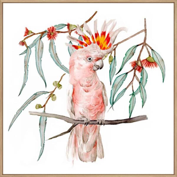 Pink Cockatoo II - Canvas