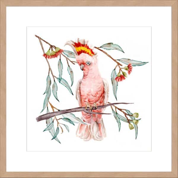 Pink Cockatoo I - 10cm Mount Board