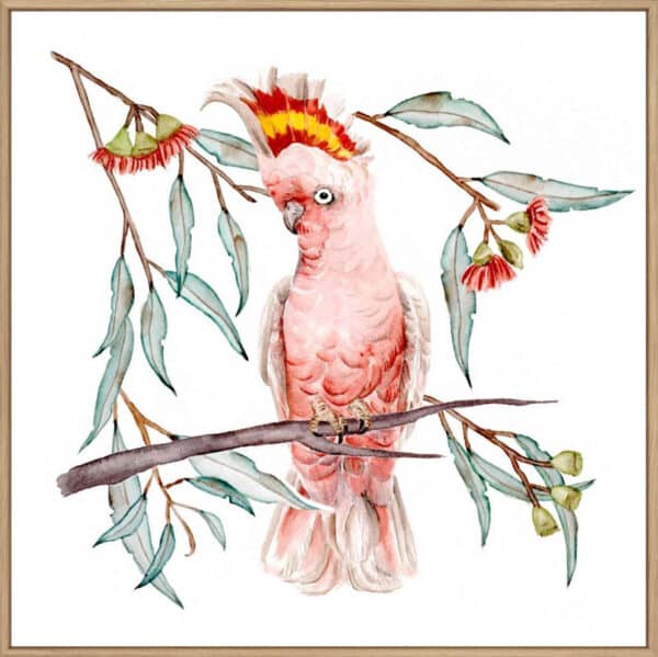 Pink Cockatoo I - Canvas