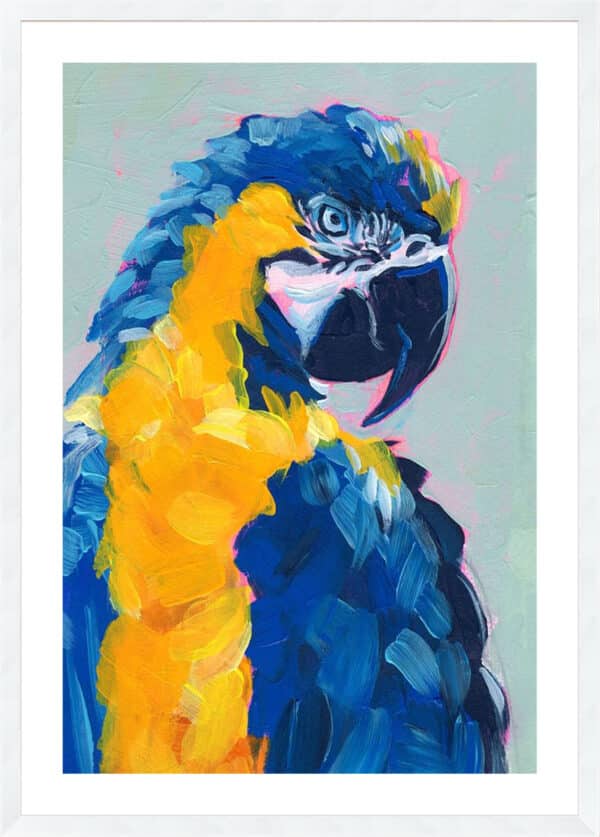 Pop Art Parrot II - 5cm White Border