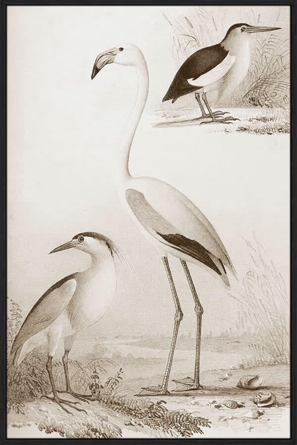 Sepia Water Birds I - Canvas - Image 4