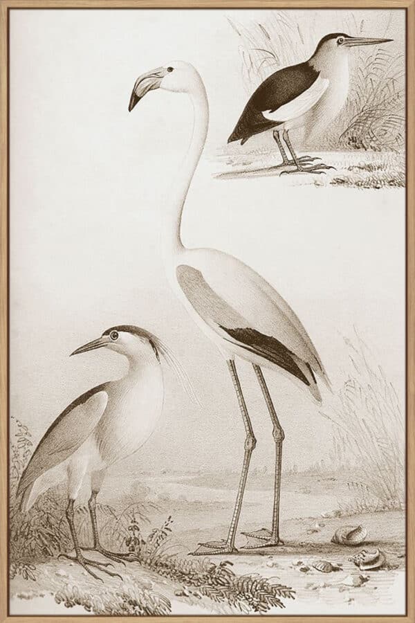 Sepia Water Birds I - Canvas - Image 3