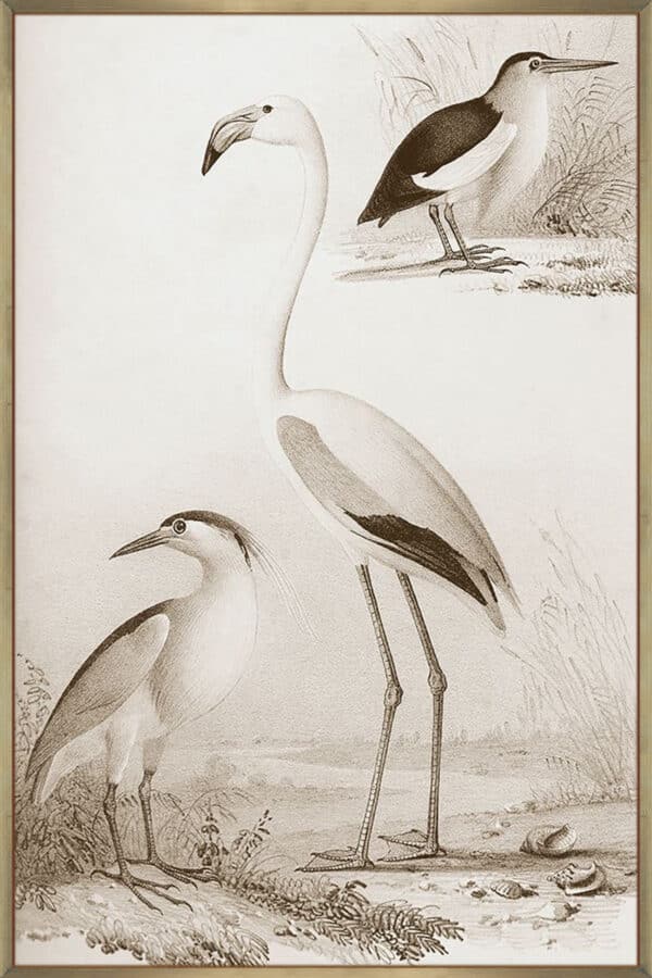 Sepia Water Birds I - Canvas