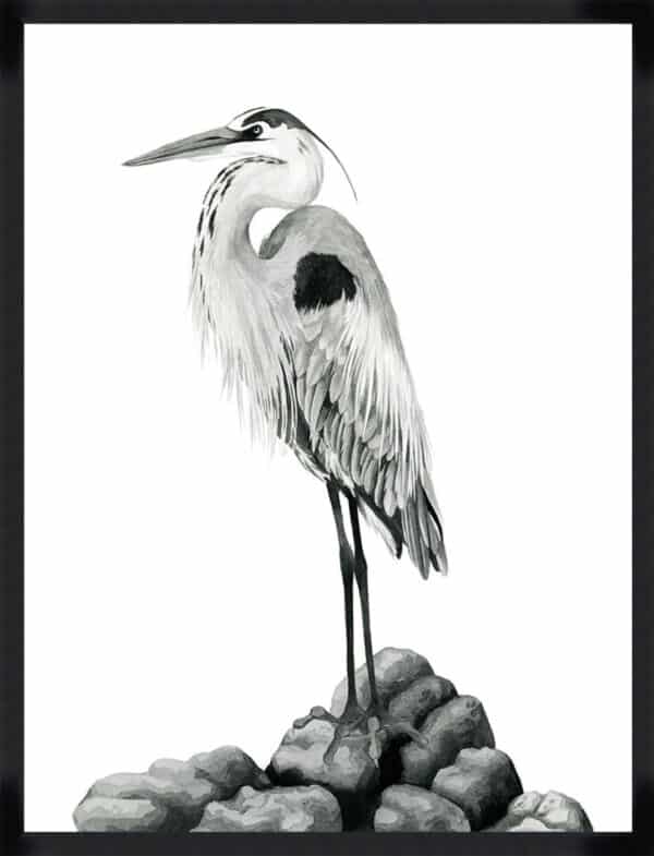 Shoreline Heron in B&W II - Framed to Edge