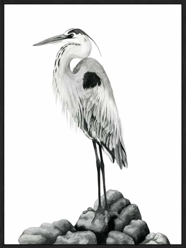 Shoreline Heron in B&W II - Canvas