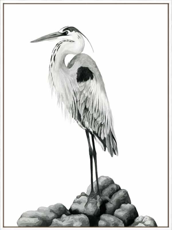 Shoreline Heron in B&W II - Canvas - Image 2