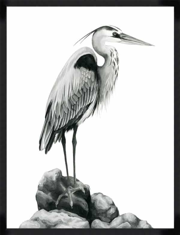 Shoreline Heron in B&W I - Framed to Edge