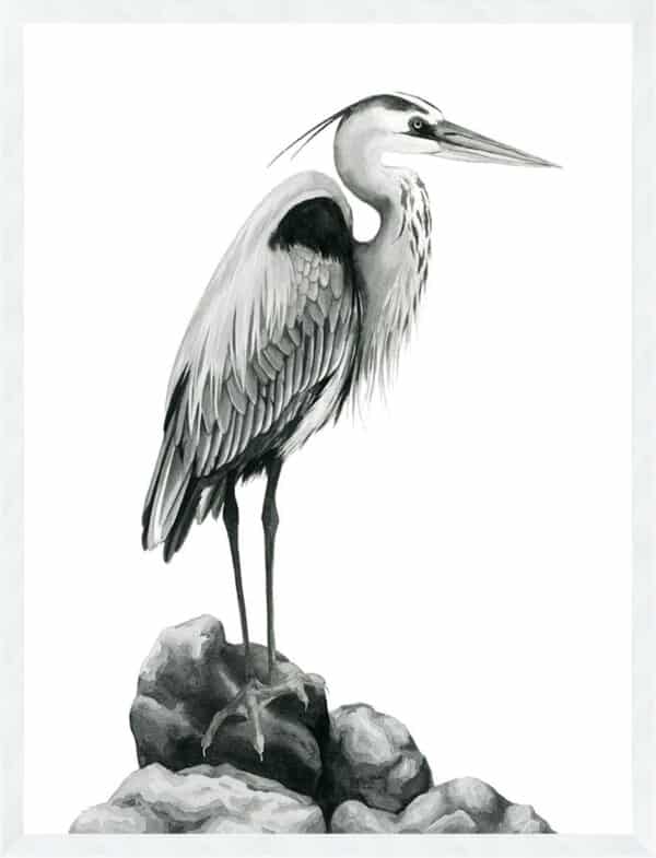 Shoreline Heron in B&W I - Framed to Edge - Image 2