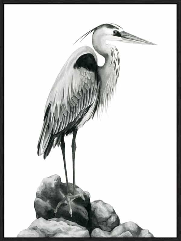 Shoreline Heron in B&W I - Canvas